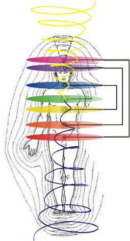 Der Begriff Feng Shui ist alternativ orientierte Heilmodelle und letztlich eine ganzheitliche Denkweise